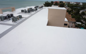Tampa_0015_Final 1